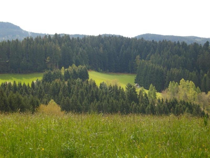 Ferienwohnung Am Sulzbaechle 巴特里坡德索西坡 外观 照片
